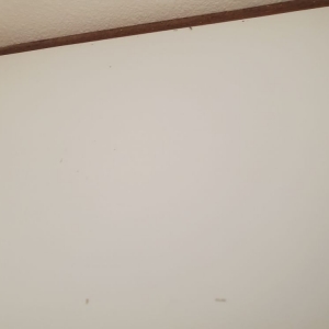 Photo of ServiCleaning Magnolia