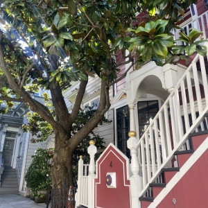 Photo of Walston Law