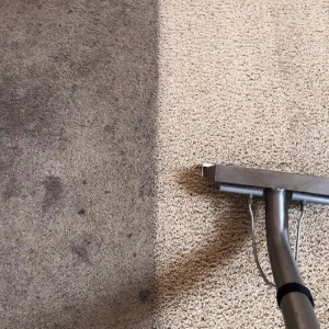 Sewell Steem Rite Carpet Care