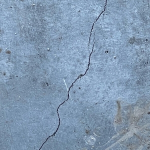 Photo of DC Concrete Finishers