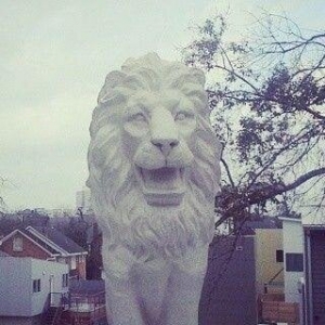 Photo of Ashoka Lion Property Management