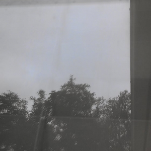 Photo of All My Sons Window Cleaning