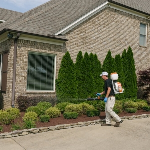 Photo of Master Lawn