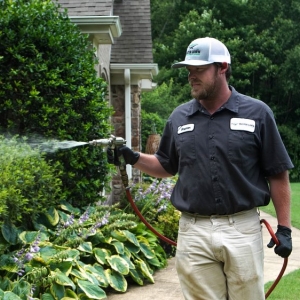Photo of Master Lawn