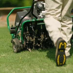 Photo of Master Lawn