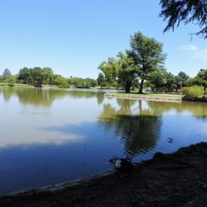Photo of Regatta