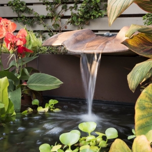 Photo of Evan C Lai Landscape Designs