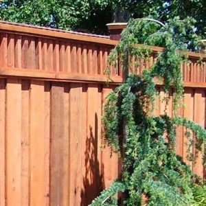 Livermore Lifescaping