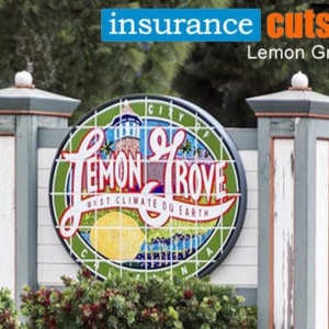 Photo of Insurance Cuts