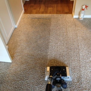 Photo of KLNSTEC Cleaning and Restoration
