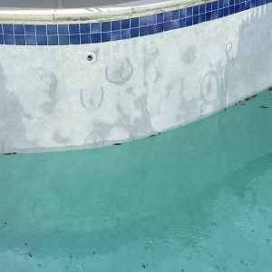 Photo of Manning Pool Service