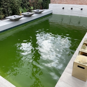 Photo of Manning Pool Service