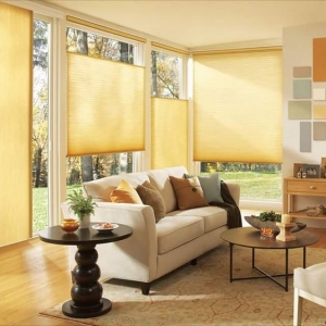 Photo of The Blinds House Solution