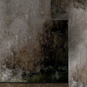 Photo of Restoration 1 of Greater Columbus