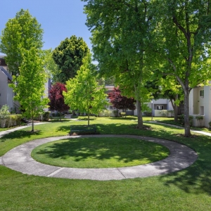 Photo of The Meadows Apartments
