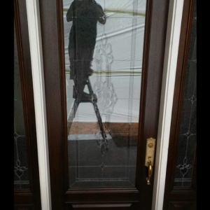 Photo of Persohn Front Door Refinishing