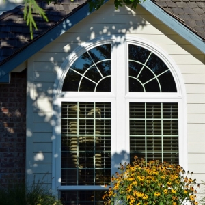 Photo of Windows Only