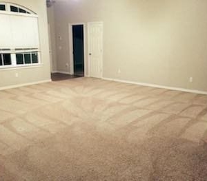 Photo of Patriot Carpet Cleaning
