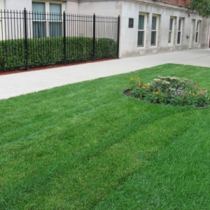 Photo of Bronzeville Green Landscaping