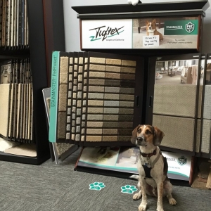 Photo of Fairmont Flooring