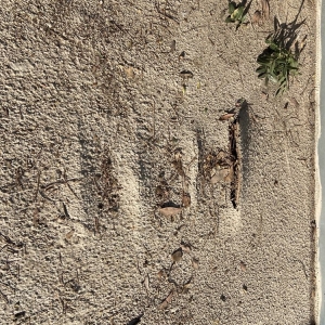 Photo of Miramar Pavers & Design