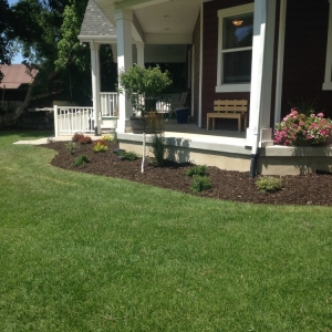 Photo of Classic Sprinklers