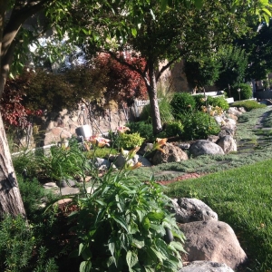 Photo of Classic Sprinklers