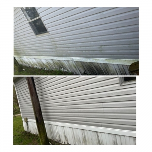 Photo of Flockin Feathers Cleaning solutions