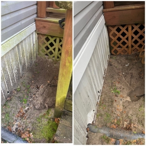 Photo of Flockin Feathers Cleaning solutions