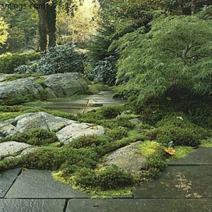 Photo of New York Plantings