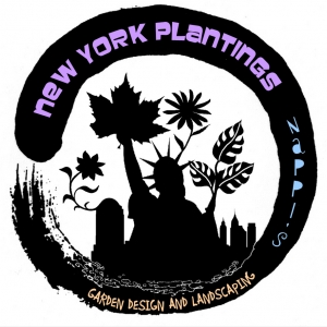 Photo of New York Plantings