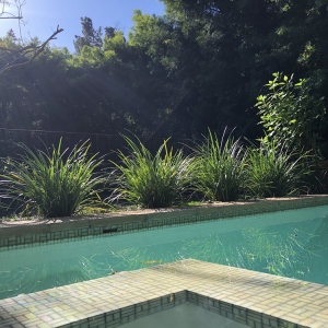 Photo of Poseidon Pool Service