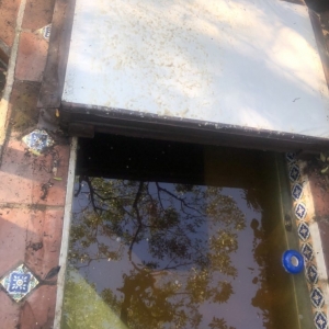 Photo of Poseidon Pool Service