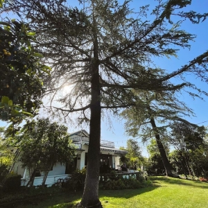 Photo of The Garden Weddings & Events