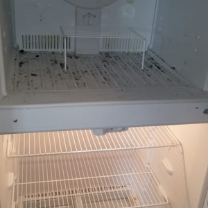 Photo of Clear Look Cleaning