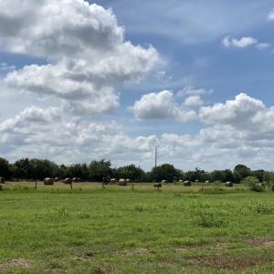 Photo of Isis Olguin- Stonepoint properties
