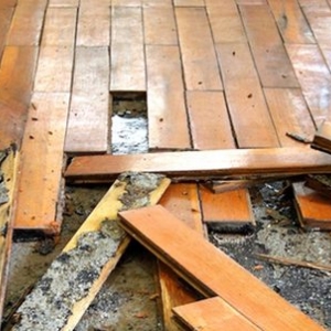 Photo of Enviro Clean Abatement Services
