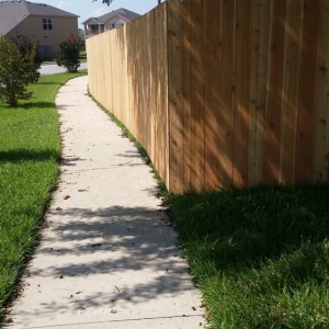 Photo of MT Fences