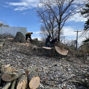 Photo of RM Affordable Landscaping