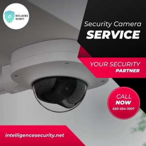 Photo of Intelligence Security