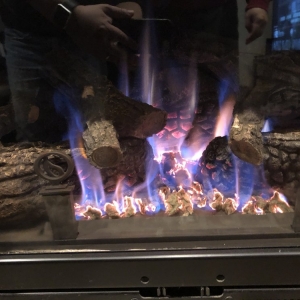 Photo of Seattle Fireplace