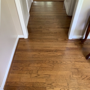 Photo of Green Floor Clean
