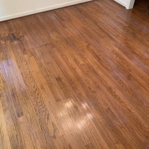 Photo of Green Floor Clean