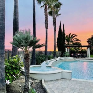 Photo of Connie Cannon - Realty One Group