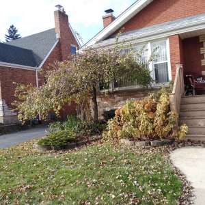 Photo of Sunnyview Landscaping