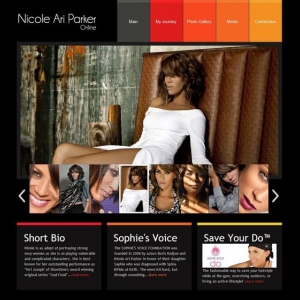 Photo of VTizzle Productions,