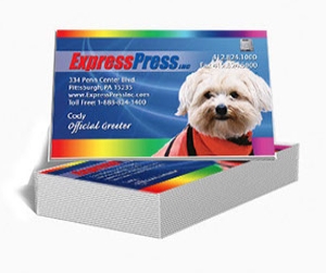 Pittsburgh Express Press