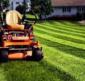 Photo of Stephens Enterprises Lawn service