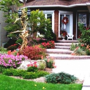 Photo of Stephens Enterprises Lawn service