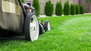 Photo of Stephens Enterprises Lawn service